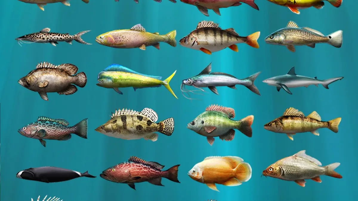 Let's Fish: Angeln Simulator – weitere Spielszene