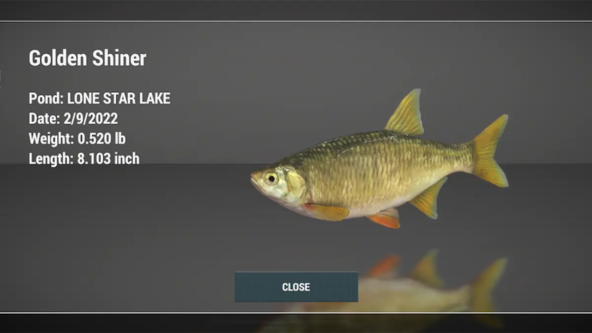 Fishing Planet – weitere Spielszene
